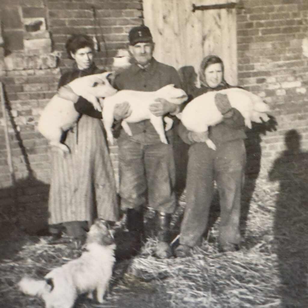 Familie Helwig mit Ferkeln auf dem Arm