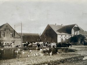 Der Teich bei Großbauer Fischer