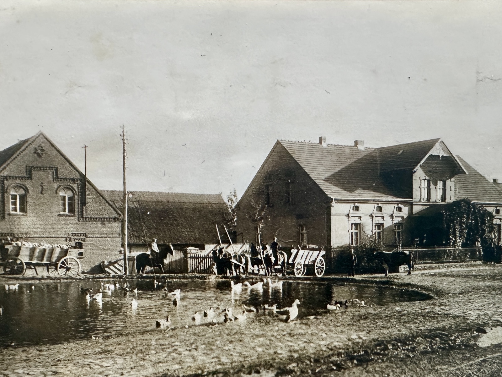 Der Teich bei Großbauer Fischer